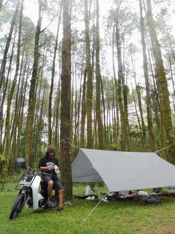 Wisatawan berkemah di Hutan Ngandong./Instagram moko_ns