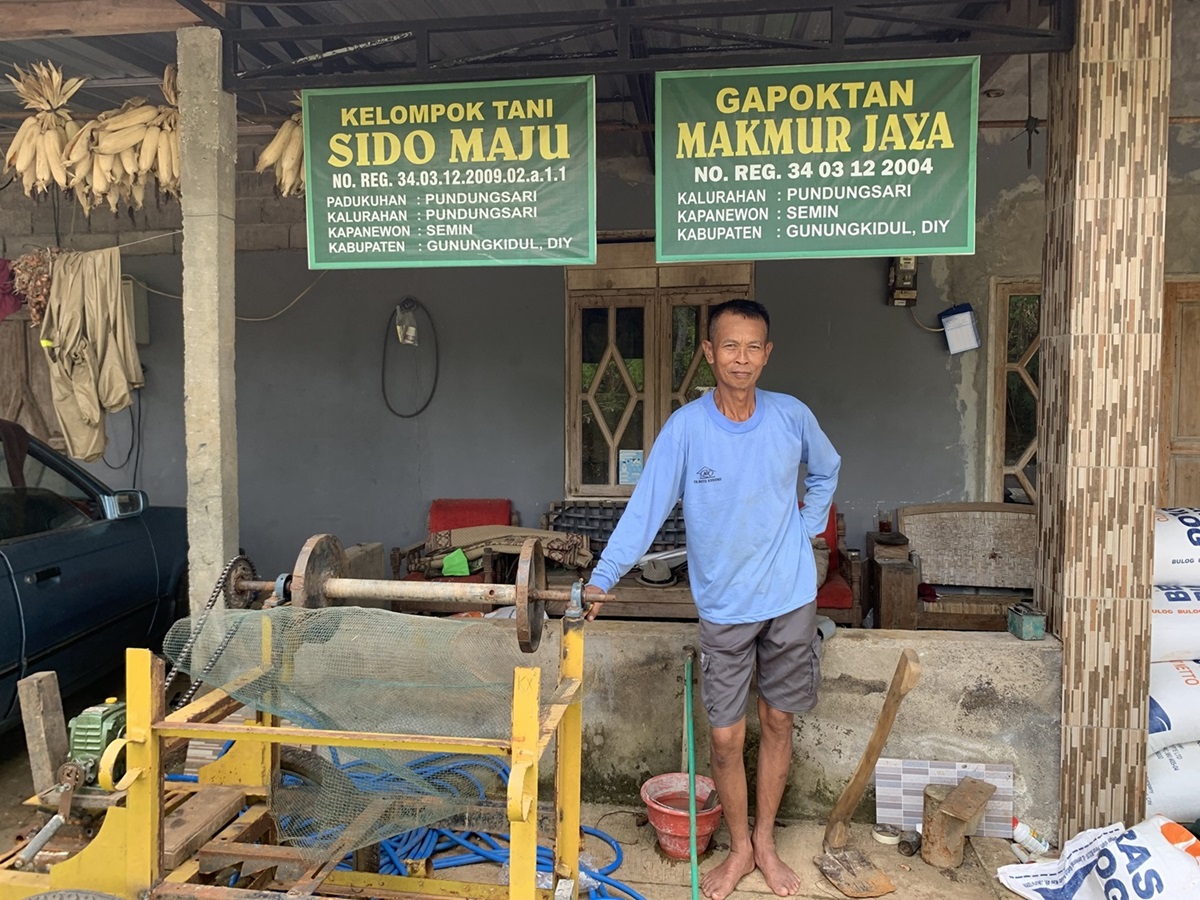 Ketua Gapoktan Makmur Jaya, Wasinto di Kalurahan Pundongsari, Kapanewon Semin yang sudah tak menanam padi Segreng lagi karena anjuran penyluh pertanian di wilayahnya.