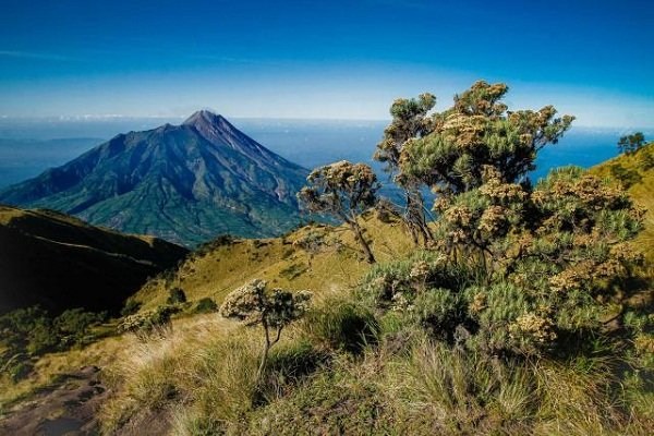 Semua Jalur Pendakian Merbabu Ditutup Sementara