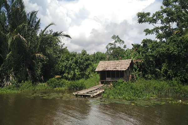Mengunjungi Suaka Margasatwa di Sepanjang Sungai Lamandau