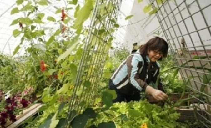 Menjaga Stamina Tubuh dan Otak dengan Berkebun   