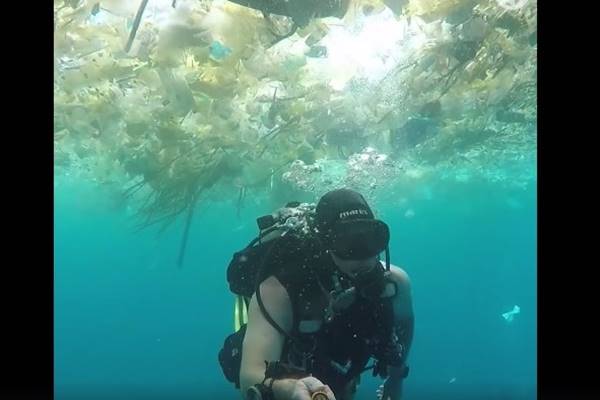 Jumlah Ikan di Laut Kalah dari Sampah Plastik