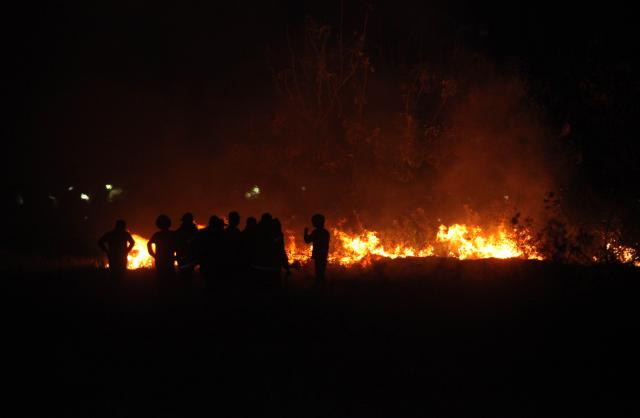 Hutan Pinus di Gunung Lawu Terbakar, Ratusan Pendaki Masih Terjebak