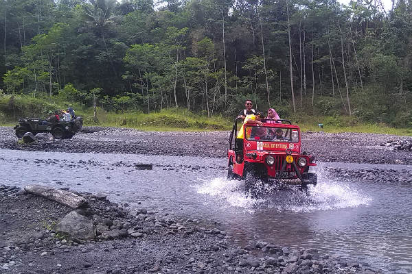 FEATURE: Ketika Sapi-Sapi Lereng Merapi Diganti dengan Jip