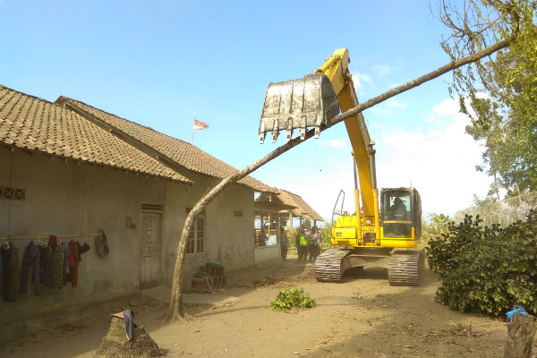 Land Clearing Jalan Terus, Petani yang Ngeyel Bercocok Tanam di Lokasi IPL NYIA Merugi