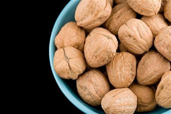 Kacang Kenari Bisa Mencegah Diabetes