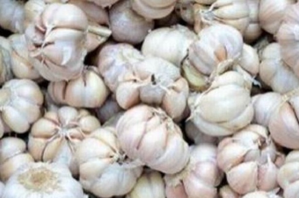 Anda Cacingan? Ini Makanan untuk Mengatasinya