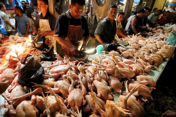 Kementan Gelar Operasi Pasar Daging Ayam Beku Rp31.000 per Kg