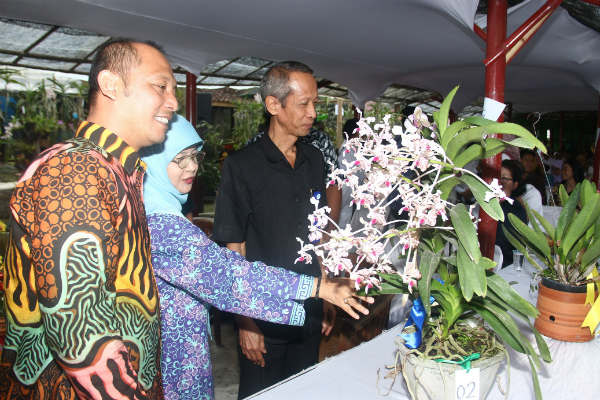 Festival Anggrek Vanda Tricolor Melestarikan Flora Endemik Merapi