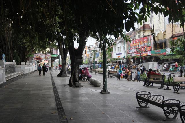 Tepi Jalan Malioboro Akan Ditanami Pohon Gayam Dan Asem Ternyata Ada Maknanya Harianjogja Com