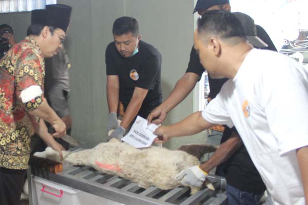  Dapat 500 Hewan Kurban dari Singapura, Kulonprogo Salurkan Daging ke Lombok