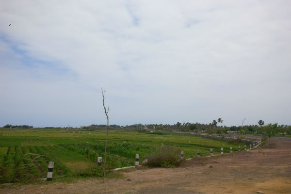 Derap Pembangunan dan Kecemasan Petani Pantai Selatan Bantul