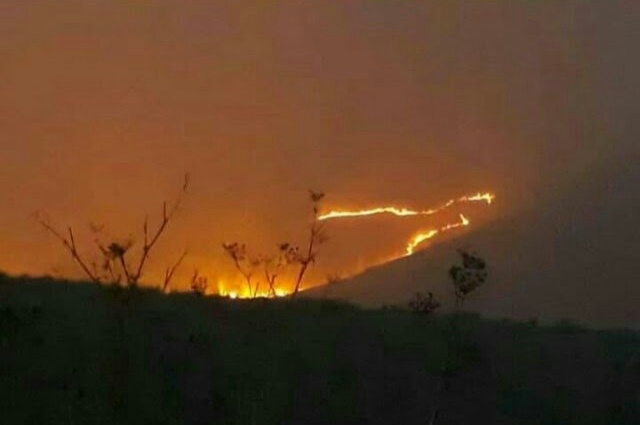 Waduh, Bukit Teletubbies di Bromo Kebakaran