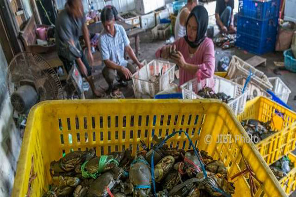 Nelayan Penangkap Kepiting di Bantul Terancam Denda Rp250 Juta