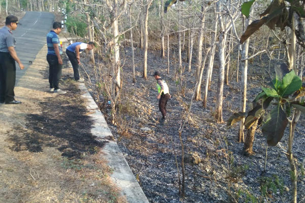 Lahan Jati di Alas Pucang Anom Gunungkidul Kembali Terbakar