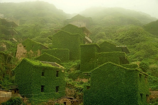 “Dikuasai Alam”, Desa Houtouwan di China Penuh Tanaman Merambat