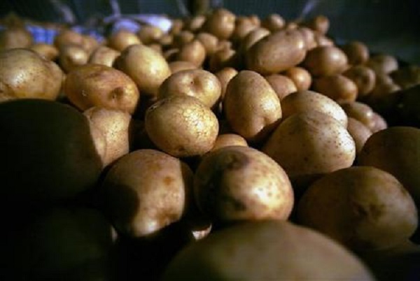 Jenis Karbohidrat yang Perlu dan Tidak Perlu Anda Hindari