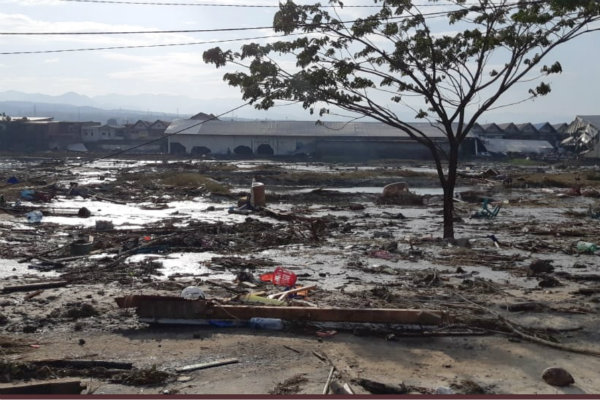 Usai Tsunami, Ratusan Personel Satpol PP Palu Belum Diketahui Nasibnya