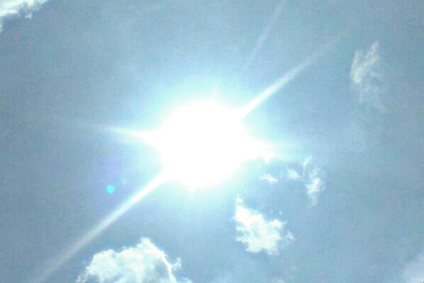 Antisipasi Flu Burung saat Pancaroba