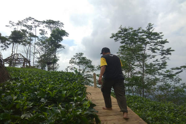 Dispar Kulonprogo Optimistis Target Wisatawan 2018 Terpenuhi