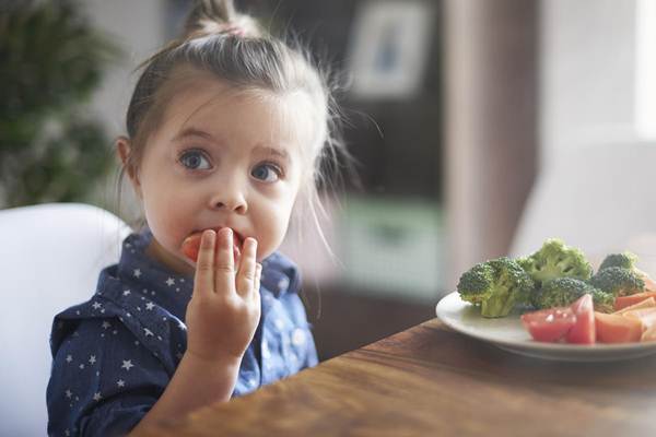 PARENTING: Membiasakan Anak Mengonsumsi Makanan Sehat, Ini Kiatnya