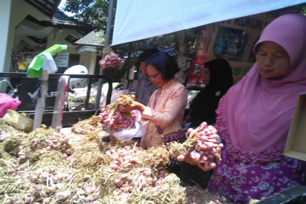 Genjot Harga, Petani Bawang Merah Optimalkan Titik Kumpul