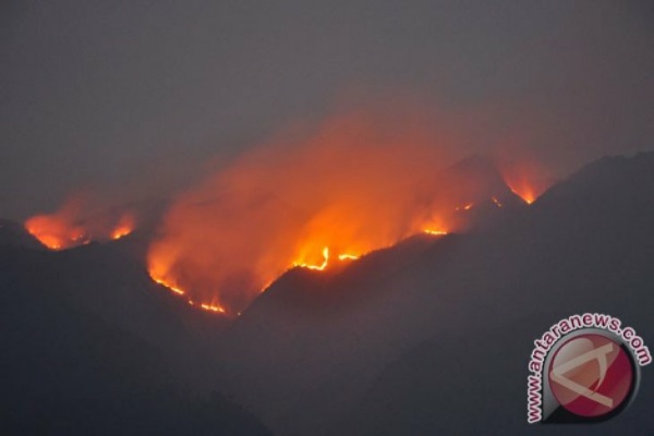 Gunung Merbabu Terbakar, Api Cukup Besar
