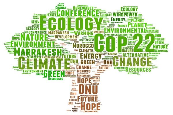 Siswa Debat Soal Perubahan Iklim di UKDW