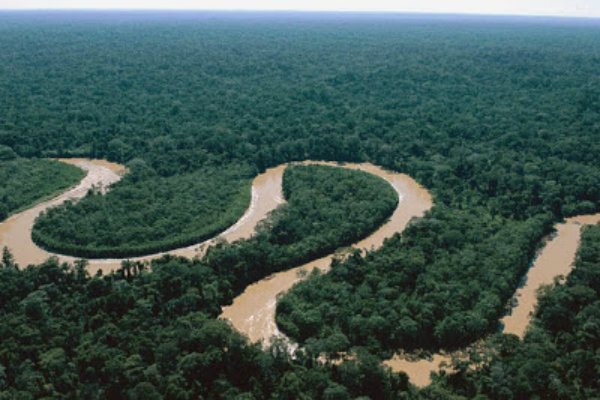 Pantangan di Hutan Adat Berpengaruh pada Lingkungan