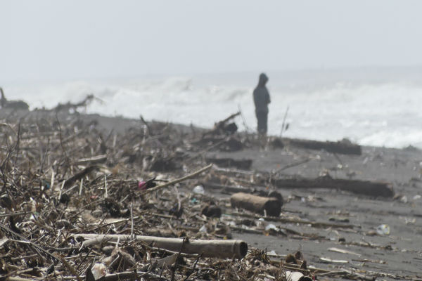 Sampah Plastik Ancam Konservasi Penyu di Pantai Trisik