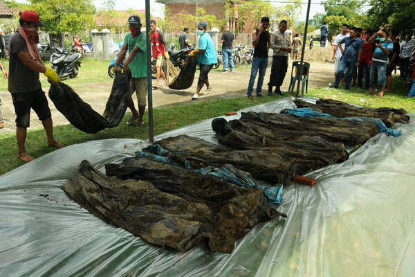 Terkubur 14 Tahun, 45 Jasad Korban Tsunami Aceh Ditemukan Terbungkus Kantong Plastik