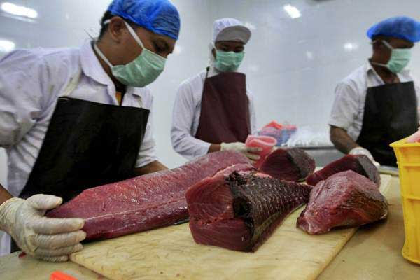 Seekor Ikan Tuna Laku Rp44 Miliar