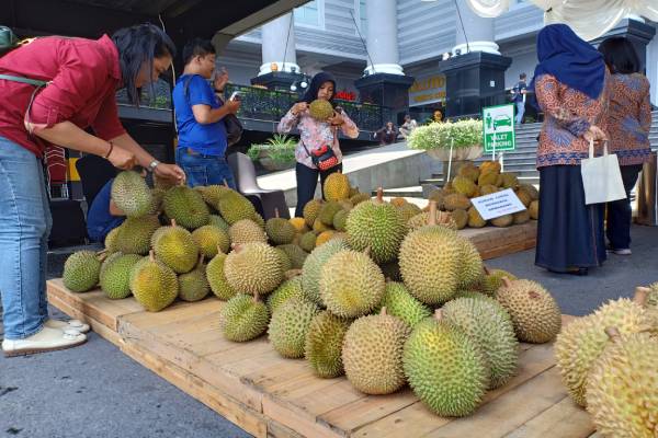 Durian Lokal JCM Diserbu Pengunjung
