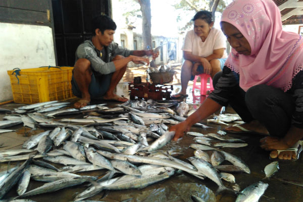 Hasil Tangkapan Ikan Nelayan Gunungkidul Menurun