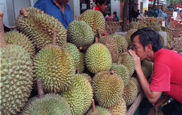 Durian Rp14 Juta Bikin Jagat Maya Heboh
