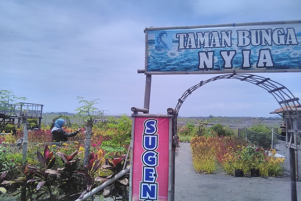 Taman Bunga NYIA Tergerus Isu Tsunami