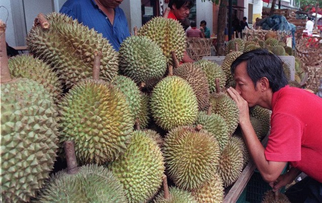 Makan Durian Cukup Tiga Butir Sehari