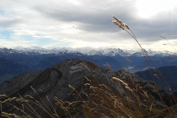 Melihat Indahnya Pegunungan Alpen
