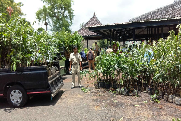 3.000 Bibit Pohon Pewarna Alami Dibagikan ke Sentra Perajin Batik