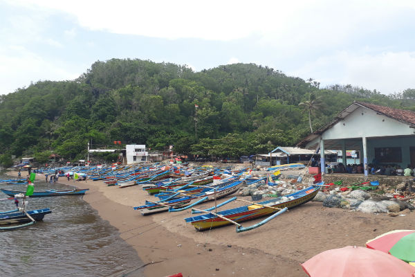 Nelayan Pantai Baron Luka Parah Digigit Sidat