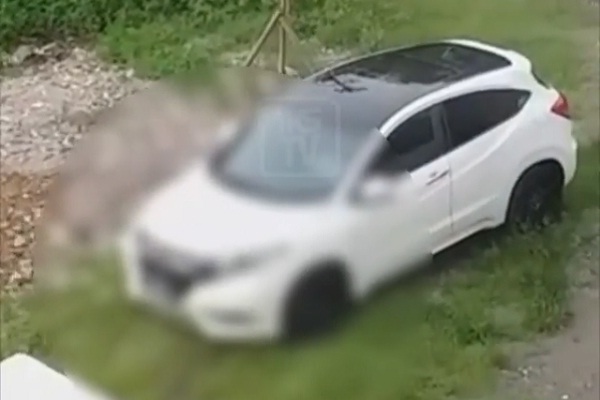 Video Sepasang Pelajar Semarang Mesum di Mobil, Viral