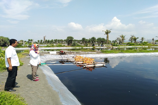 Rencana Penggusuran Tambak Glagah Perlu Ditunda