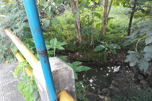 Warga Siraman Keluhkan Bau Limbah Tahu di Sungai Besole