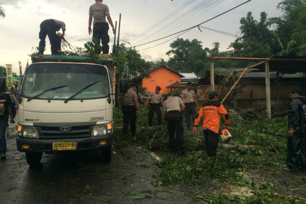 Hujan Angin di Sleman, 8 Orang Terluka Tertimpa Pohon