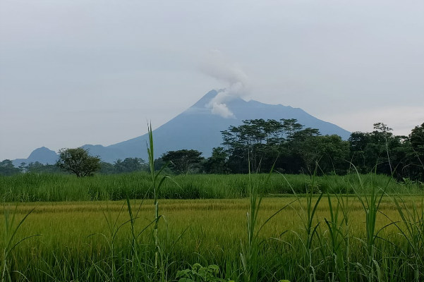Gunung Merapi Dua Kali Luncurkan Lava Pijar