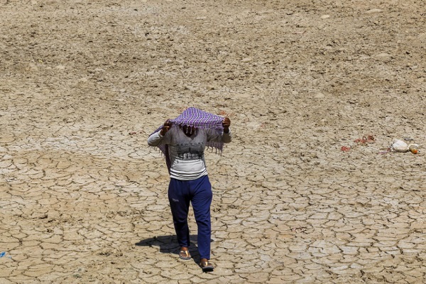 Temperatur di India Capai 51 Derajat Celsius akibat Gelombang Panas