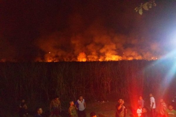 Rugi Rp140 Juta, Lahan Tebu Siap Panen di Sragen Hangus Terbakar