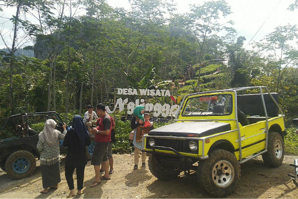 Desa Wisata Nglinggo Tawarkan Atraksi Wisata Jeep