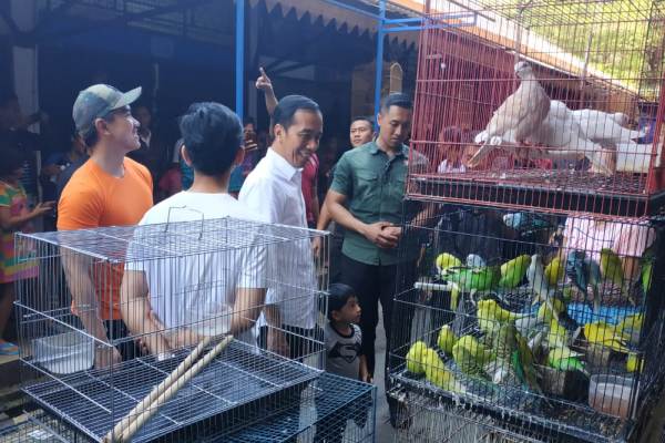 Setelah Jogja, Jokowi Blusukan ke Pasar Burung di Solo