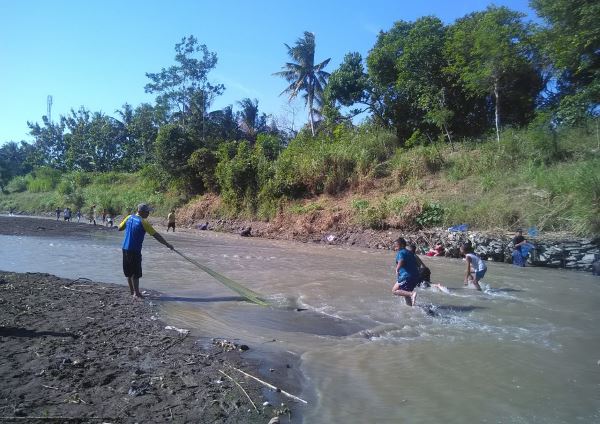 Kali Serang Surut, Warga Berbondong-bondong Mencari Ikan